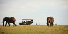 Elephant Pepper Camp, Masai Mara National Reserve, Kenya