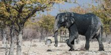 Etosha Mountain Lodge, Etosha National Park, Namibia