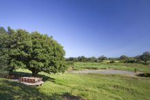 Exeter River Lodge, Sabi Sands Game Reserve, South Africa
