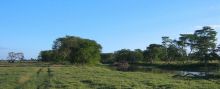 Explore Gorongosa- Explorers Camp, Gorongosa National Park, Mozambique
