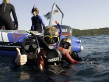 Family snorkeling excursion- Rocktail Beach Camp, KwaZulu-Natal, South Africa Â© Dana Allen