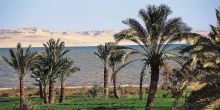 Fayoum Oasis