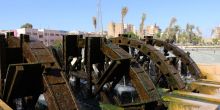 Fayoum Oasis water wheels