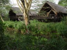 Finch Hattons Camp, Tsavo East National Park, Kenya
