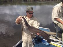 Fishing on the delta at Guma Lagoon Camp, Okavango Delta, Botswana