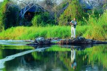 Flyfishing at Impalila Island Lodge, Caprivi Strip, Namibia