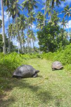 Fregate Island Resort, Fregate Island, Seychelles