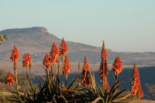 Fugitives' Drift, Drakensburg Mountains, South Africa