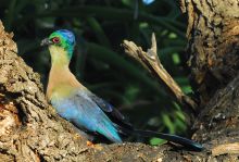 Fugitives' Drift, Drakensburg Mountains, South Africa