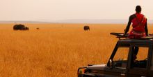 Private Masai guides lead game drives through the famous game-rich plains at Mara House, Masai Mara National Reserve, Kenya