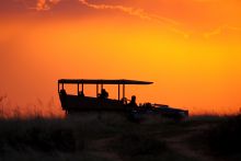 Game drive at sunset at Shamwari Long Lee Manor, Shamwari Game Reserve, South Africa