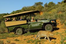 Spotting a leopard during a game drive at Shamwari Bayethe Tented Lodge, Shamwari Game Reserve, South Africa