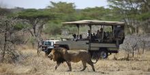 Mwiba Tented Camp game drive