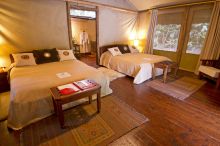 Gorilla Forest Camp, Bwindi Impenetrable Forest, Uganda