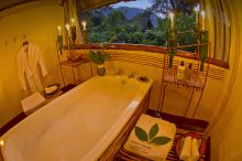 Gorilla Forest Camp, Bwindi Impenetrable Forest, Uganda