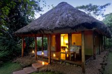 Gorilla Forest Camp, Bwindi Impenetrable Forest, Uganda