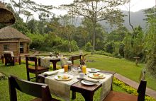 Gorilla Forest Camp, Bwindi Impenetrable Forest, Uganda
