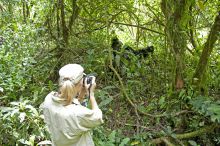 Gorilla Forest Camp, Bwindi Impenetrable Forest, Uganda