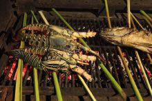 Grilled lobsters- Chanty Beach House, Nosy Be, Madagascar