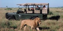 Grumeti River Camp - game drive