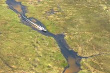 Aerial view of boating through the delta at Gunns Camp, Okavango Delta, Botswana