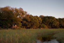 Camp exterior at Gunns Camp, Okavango Delta, Botswana
