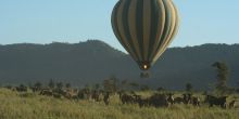 Central Serengeti Hot Air Balloon Safari Launch Site, Serengeti National Park, Tanzania