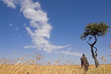 Hemingways Ol Seki Mara Camp, Masai Mara National Reserve, Kenya