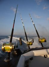 Hemingways Watamu, Malindi, Kenya