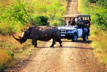 Hluhuwe River Lodge - Rhino Photo