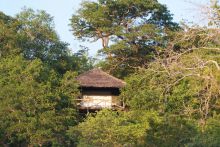 Honeymoon Banda exterior at Sable Mountain Lodge, Selous National Park, Tanzania