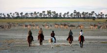 Jacks Camp, Kalahari Desert, Botswana