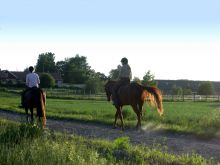 Horse riding at Franschhoek Country House, Franschhoek, South Africa