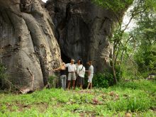 Huge Baobab tree- Pafuri Wilderness Trails, Kruger National Park, South Africa Â© Walter Jubber