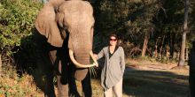Walking with Elephants