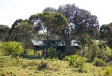 A guest tent in its beautiful setting at Offbeat Mara Camp, Masai Mara National Reserve, Kenya