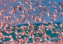 Indigo bay Island Resort, Bazaruto Archipelago, Mozambique