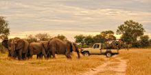 Game drive at Kanga Camp, Mana Pools National Park, Zimbabwe