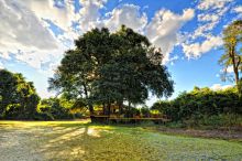 Camp exterior at Kanga Camp, Mana Pools National Park, Zimbabwe