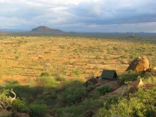 Karisia Samburu led Walking Safari, Laikipia, Kenya