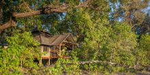 Tent at Little Kwara Camp, Okavango Delta, Botswana