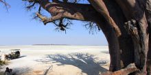 Nxai Pan Camp, Nxai Pan National Park, Botswana