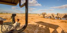 Elephants at Nxai Pan Camp, Nxai Pan National Park, Botswana