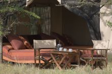 Leleshwa  Camp, Masai Mara National Reserve, Kenya