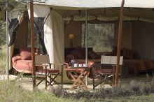 Leleshwa  Camp, Masai Mara National Reserve, Kenya