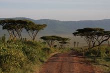 Lemala Ngorongoro, Ngorongoro Crater, Tanzania