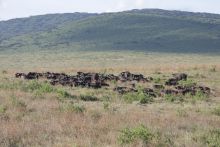 Lemala Ngorongoro, Ngorongoro Crater, Tanzania