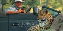 A close-up encounter with a leopard during a game drive at Leopard Hills Safari Lodge, Sabi Sands Game Reserve, South Africa