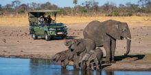 Linkwasha, Hwange National Park, Zimbabwe