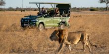 Linkwasha, Hwange National Park, Zimbabwe
